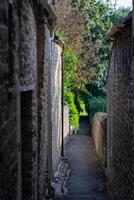 étroit ruelle entre vieux pierre des murs avec vert feuillage, évoquant une pittoresque, historique atmosphère. photo