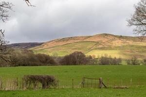 roulant vert collines avec une rustique clôture en dessous de une nuageux ciel, mettant en valeur serein rural paysage. photo