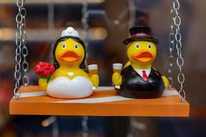 la mariée et jeune marié caoutchouc canards sur une balançoire, mariage concept. photo