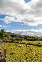 paysage photo dans Yorkshire