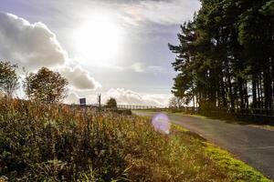 ensoleillé campagne route avec luxuriant verdure et clair ciels, idéal pour Voyage et la nature thèmes. photo