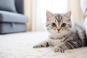 ai généré une mignonne chat repose sur une blanc tapis, apportant une toucher de félin charme à le vivant chambre, ai généré. photo