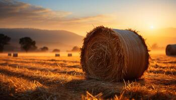 ai généré le coucher du soleil plus de une rural cultiver, meules de foin rouleau dans d'or prés généré par ai photo