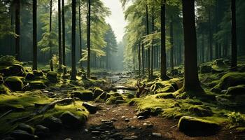 ai généré tranquille scène mystérieux brouillard entoure vieux arbre dans l'automne forêt généré par ai photo