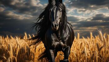 ai généré cheval fonctionnement gratuit dans tranquille prairie, beauté dans la nature généré par ai photo