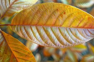 ai généré marron Jeune mangue feuilles, une serein et Naturel Contexte photo