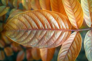 ai généré Jeune marron mangue feuilles créer une magnifique la nature Contexte photo