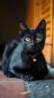 ai généré sol séance noir chat avec captivant Jaune yeux, une irrésistible pose verticale mobile fond d'écran photo