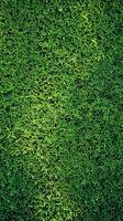 ai généré photo Haut vue de luxuriant vert pelouse pour des sports des champs ou jardins verticale mobile fond d'écran