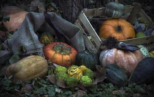 citrouilles et autre l'automne des fruits et herbes comme une partie de une diorama dans une parc photo