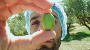 agronome donner une prudent Regardez à un olive pour qualité vérifier photo