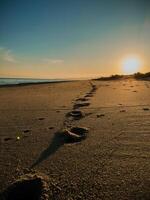 empreintes sur le plage à le coucher du soleil photo