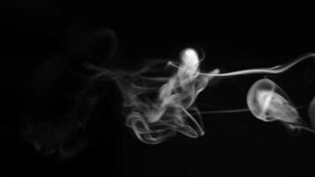 blanc fumée, vapeur , brouillard nuage sur noir Contexte pour en utilisant dans composition et recouvrir photo
