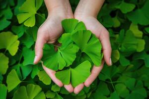 ai généré capillaire ou ginkgo biloba feuilles. guérison plante dans traditionnel chinois médicament photo