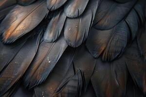 ai généré extrême macro coup de oiseau plumes photo