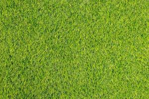 l'herbe verte. texture de fond naturel. herbe verte printanière fraîche. photo