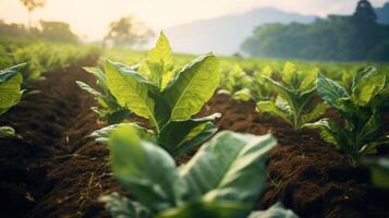 ai généré Jeune le tabac feuilles photo