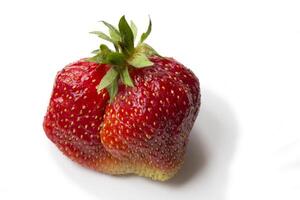 fraise baie fermer sur blanc Contexte photo