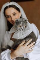 jeune, élégant, fille dans le image de une la mariée avec une magnifique agrafe et une tiare sur sa diriger, en portant sa animal de compagnie chat dans sa bras photo