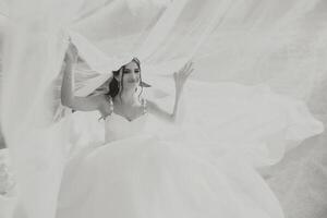 portrait de une magnifique Jeune la mariée dans une blanc robe avec une longue voile et une magnifique coiffure. souriant la mariée. mariage journée. magnifique la mariée. mariage. photo