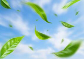 vert flottant feuilles en volant feuilles vert feuille dansant photo