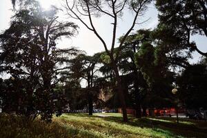 une parc dans un italien ville a un atmosphère de calme et été photo