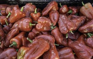 rouge poivrons dans une marché photo