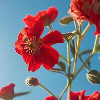 ai généré une rouge fleurs photo