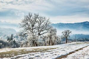 spectaculaire vue de hiver champ avec montagnes sur Contexte photo