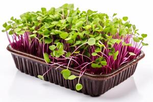 ai généré Frais microgreens dans élégant noir récipient sur blanc table - en bonne santé régime et nutrition concept photo