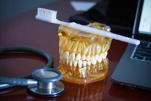 fermer de moderne mâchoires modèle avec blanc brosse à dents et stéthoscope sur table dans dentaire clinique photo