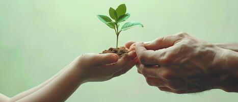 ai généré une des gamins mains, avec une minuscule plante pousse sur le sien palmier, transfert il à une homme mains, ensemble contre une pur vert toile de fond, Terre jour, monde l'amour et nettoyer environnement thème photo