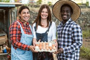 content Les agriculteurs cueillette en haut Frais des œufs dans poulailler jardin - ferme gens mode de vie concept photo