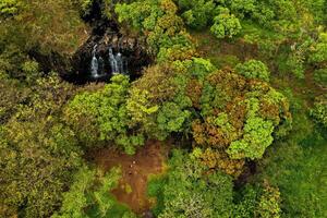 rochester chutes sur le île de maurice.cascade dans le jungle de le tropical île de maurice photo