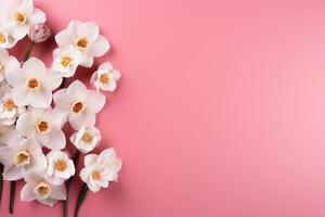 ai généré blanc fleurs jonquilles Cadre sur rose Contexte Haut voir, magnifique floral modèle avec copie espace photo