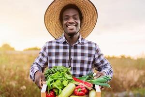 content africain agriculteur travail dans le campagne en portant une bois boîte avec Frais des légumes photo