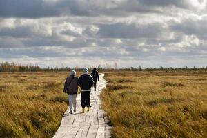 gens dans bottes marcher le long de une en bois chemin dans une marais dans Elnya, biélorussie photo