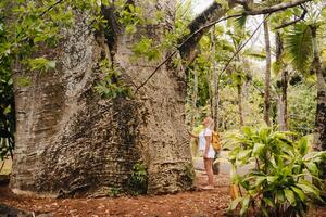 une fille suivant à une baobab dans le botanique jardin sur le île de maurice photo