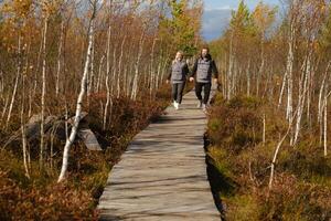 deux touristes marcher le long de une en bois chemin dans une marais dans Elnya, biélorussie photo