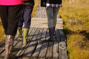 gens dans bottes marcher le long de une en bois chemin dans une marais dans Elnya, biélorussie photo