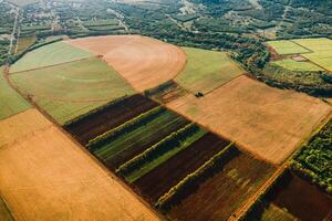 aérien la photographie de rond et rectangulaire des champs situé sur le île de maurice photo