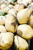 Jaune noix de coco sont vendu dans le marché de le île de maurice. vente de végétarien des fruits dans le ouvert air. beaucoup noix de coco sur le marché photo