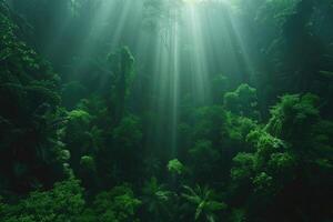 ai généré tropical forêt à coucher de soleil, lumière pauses par le forêt canopée photo