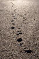 empreintes sur le plage le sable dans verticale format photo