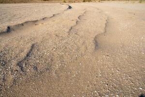 magnifique dunes sur le chaud le sable de le plage photo