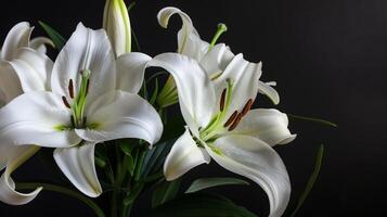 ai généré serein blanc fleurs de lys sur foncé toile de fond photo