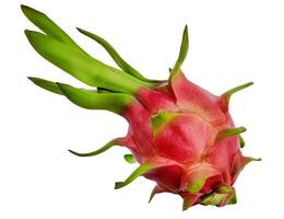 exotique dragon fruit sur blanc en bonne santé en mangeant espace photo