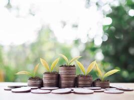 les plantes croissance en haut sur empiler de pièces de monnaie. le concept de économie argent, financier, investissement et affaires croissance. photo