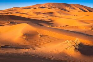 le sable dunes de erg Chebbi int il Sahara désert, Maroc photo