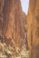 Todgha gorge, une canyon dans le haute atlas montagnes dans Maroc, près le ville de tinerhir. photo